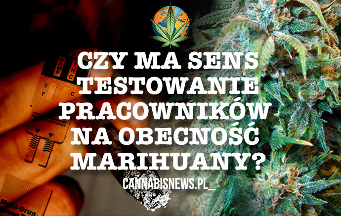Testowanie pracowników na obecność marihuany – czy to ma sens?