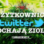 Twitter kocha marihuanę!