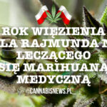 Rok więzienia dla Rajmunda N. leczącego się marihuaną medyczną