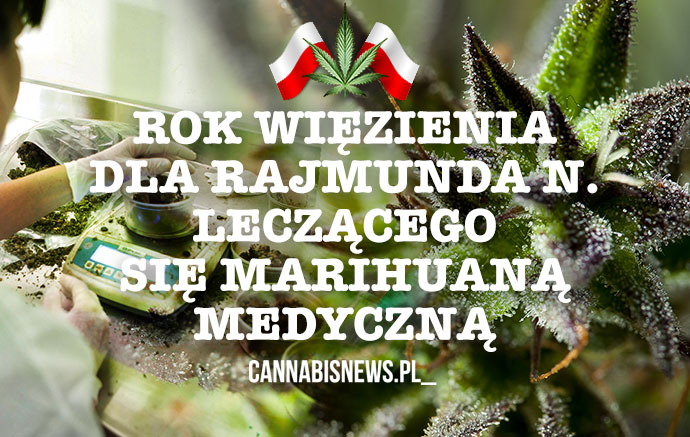 Rok więzienia dla Rajmunda N. leczącego się marihuaną medyczną