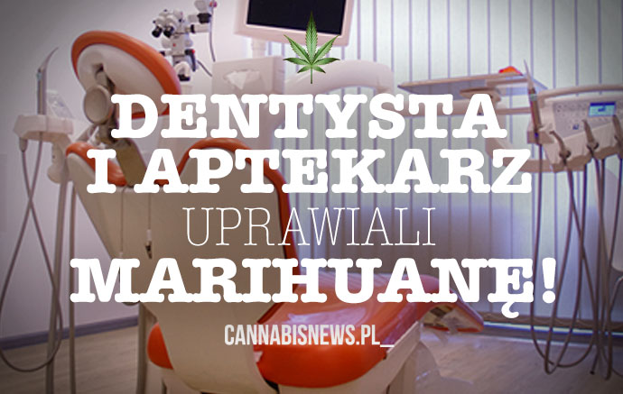 farmaceuta i stomatolog uprawiaja marihuane