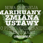 zmiana definicji marihuany w polsce