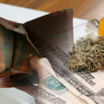 Brak refundacji na leki z konopii