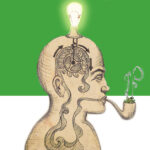 Zioło pobudza kreatywność