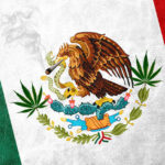 Legalizacja w Meksyku