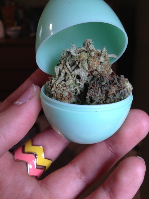 konopne jajko niespodzianka