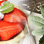 konopna kuchnia tartaletki z czekoladą