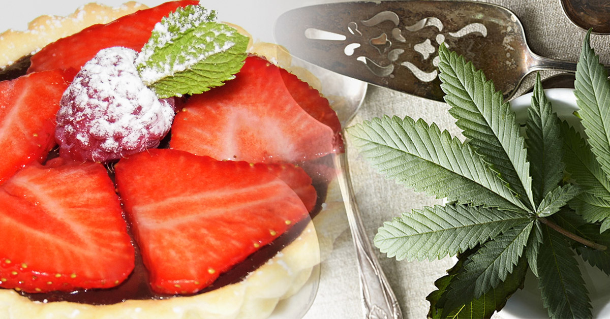 konopna kuchnia tartaletki z czekoladą