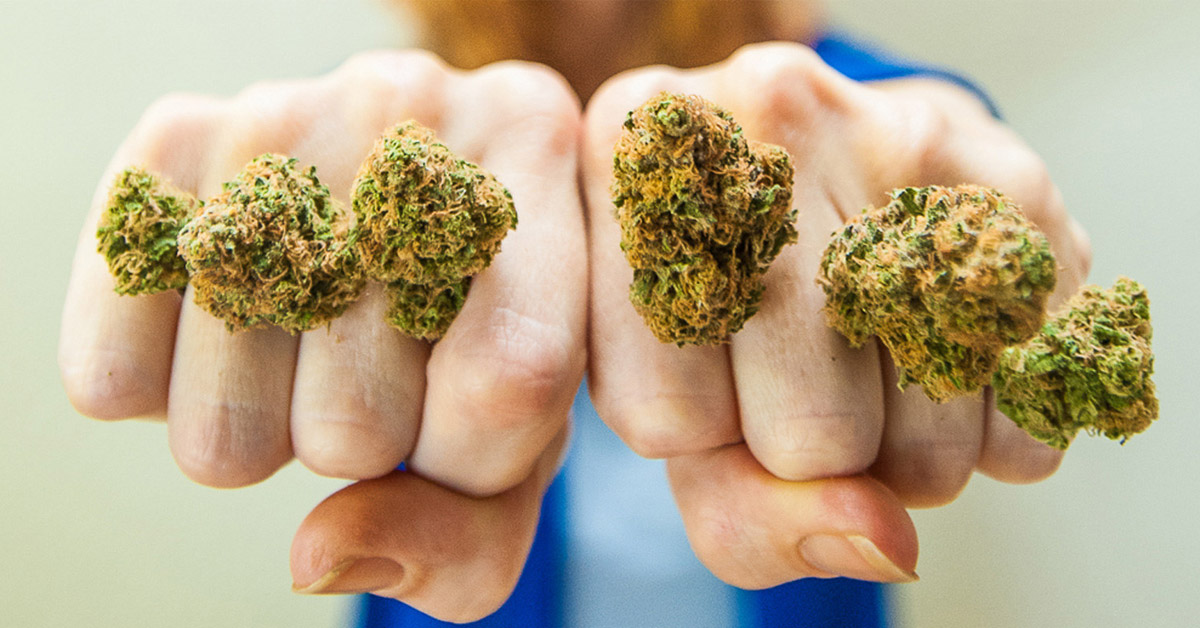 Zioło pomaga uzależnionym