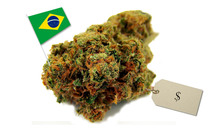 cena trawy w Brazylii