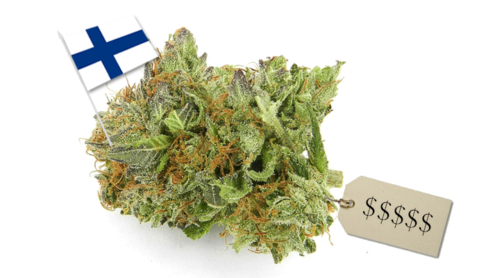 cena trawy w Finlandii