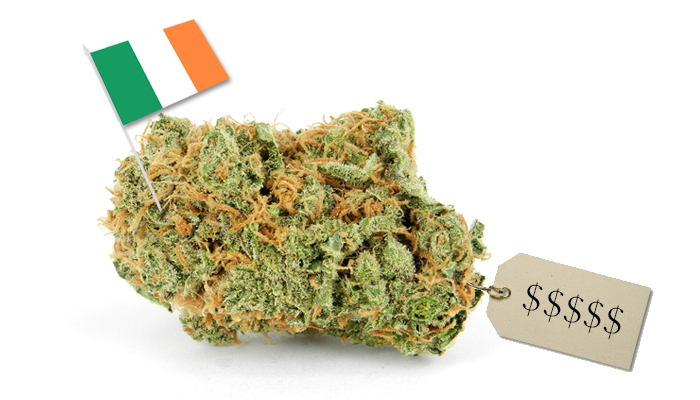 cena trawy w Irlandii