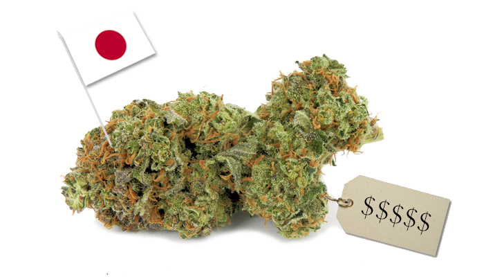 cena trawy w Japonii