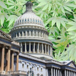 Marihuana medyczna w Stanacj