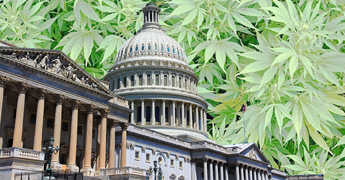 Marihuana medyczna w Stanacj