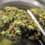 leczenie marihuaną medyczną