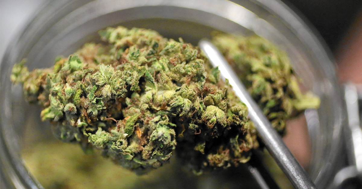 leczenie marihuaną medyczną