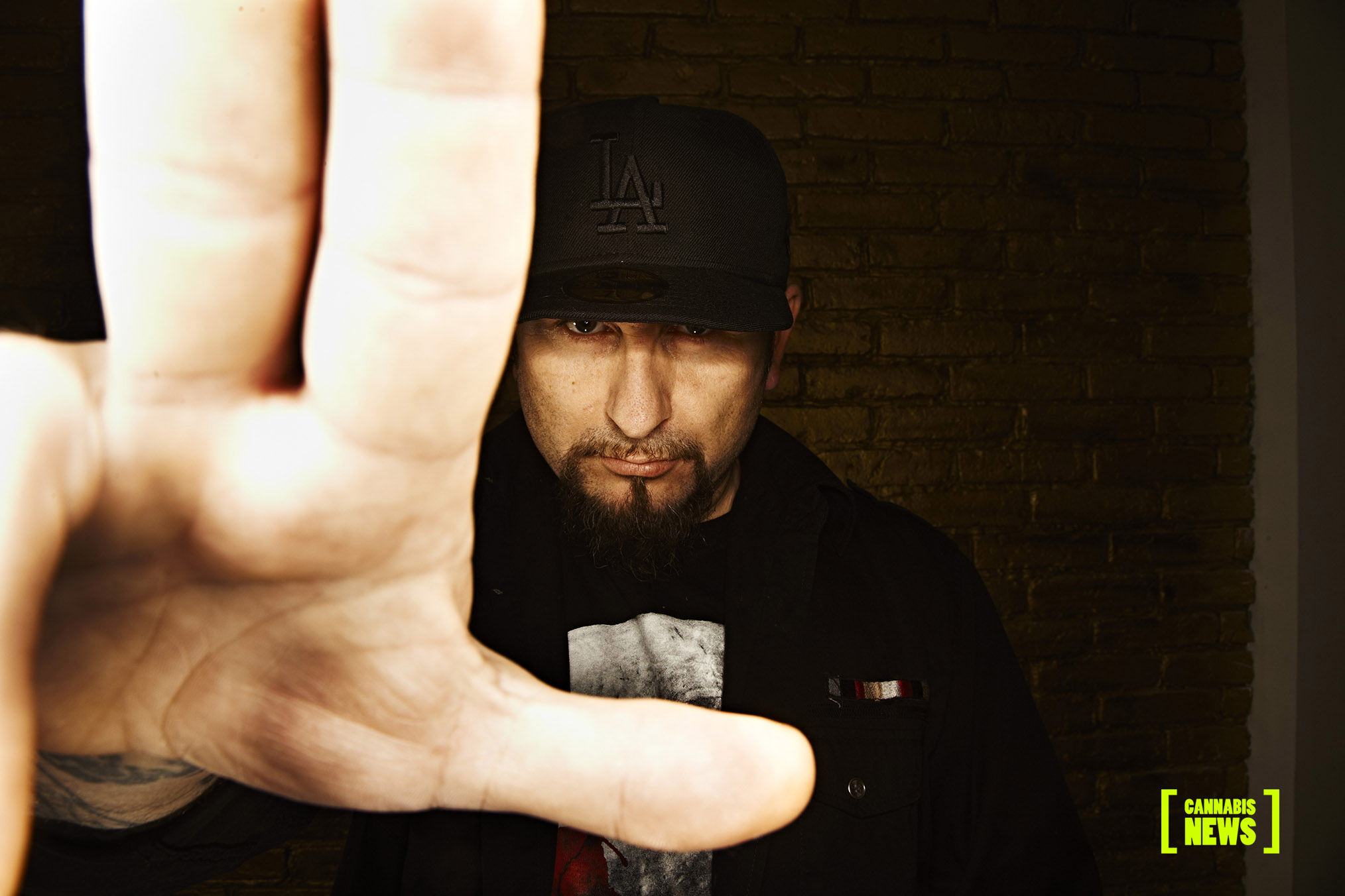 Liroy_posel_od_konopi_3