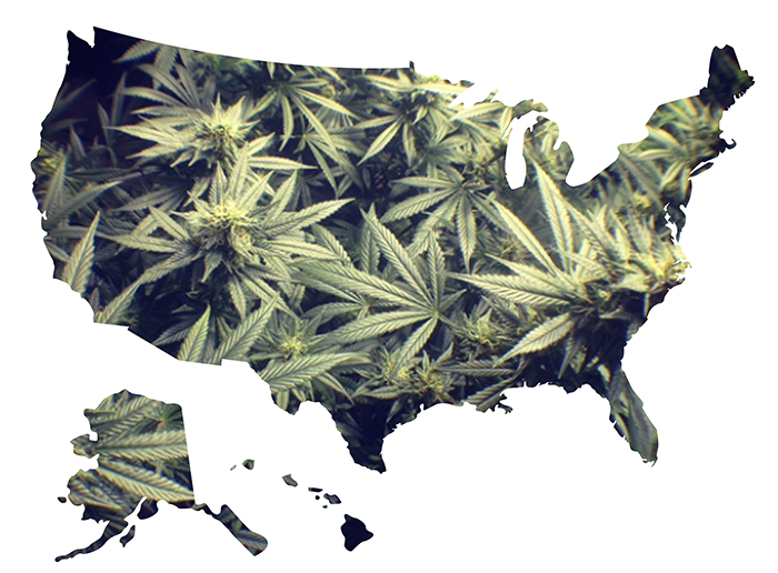 marihuana-w-USA