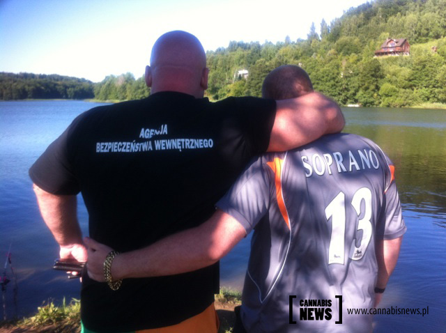 masa świadek koronny