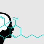 cbd nie wpływana uczucie haju