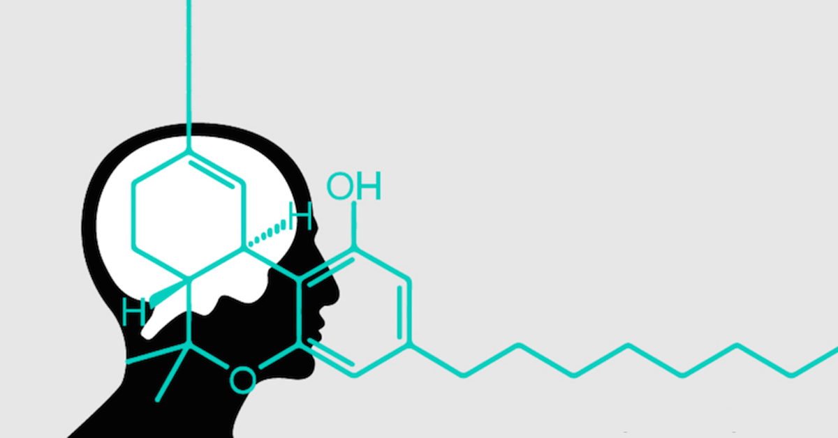 cbd nie wpływana uczucie haju