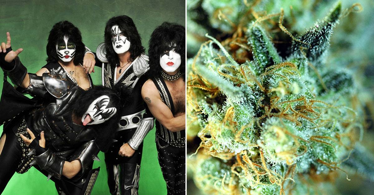 odmiana zioła czy nazwa zespołu quiz