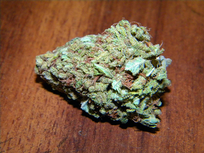 odmiana marihuany Green Crack