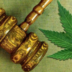 USA ława przysięgłych odmawia skazania za posiadanie