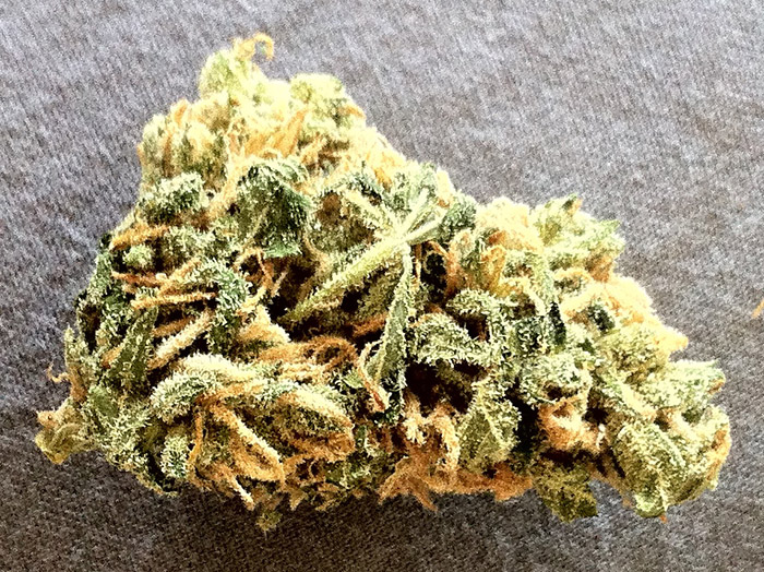 odmiana marihuany Maui Waui