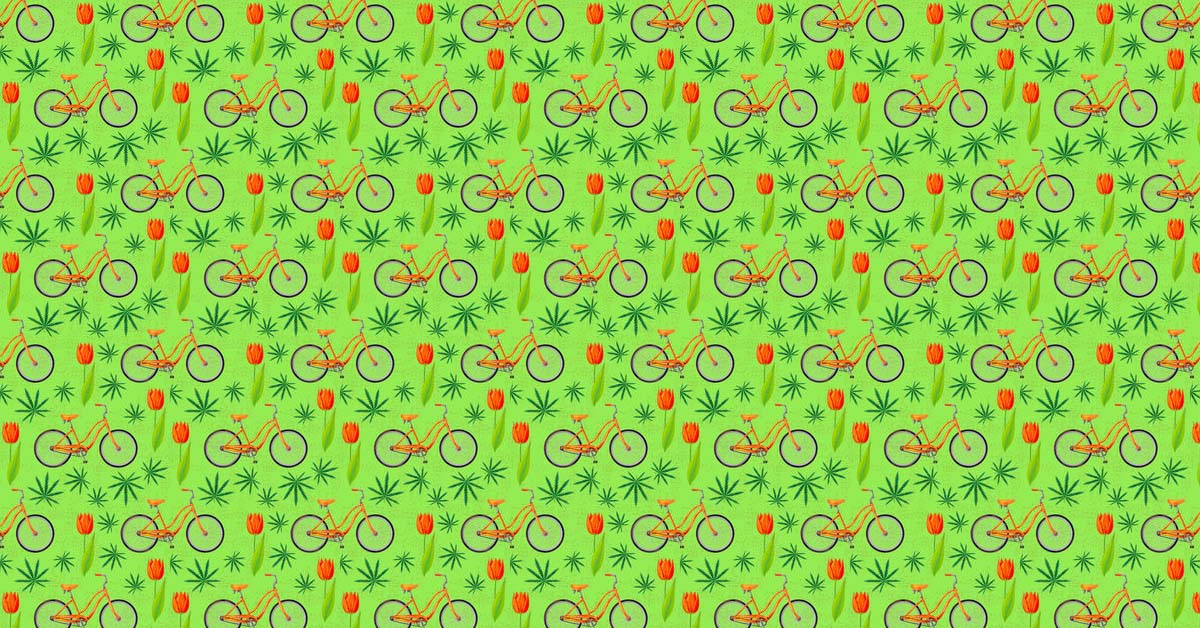 zmiany w holenderskiej narkopolityce