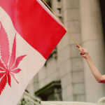 Kanada uprawa marihuany medycznej