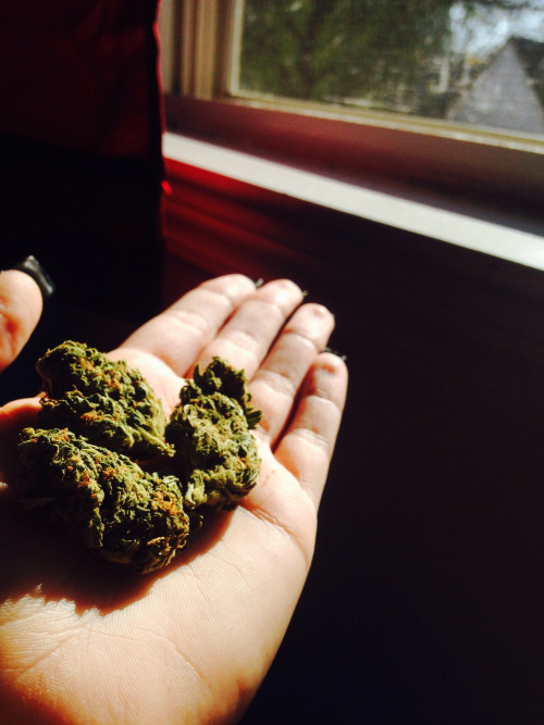 dzielenie się trawą