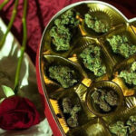 pomysły na prezenty dla palaczy zioła