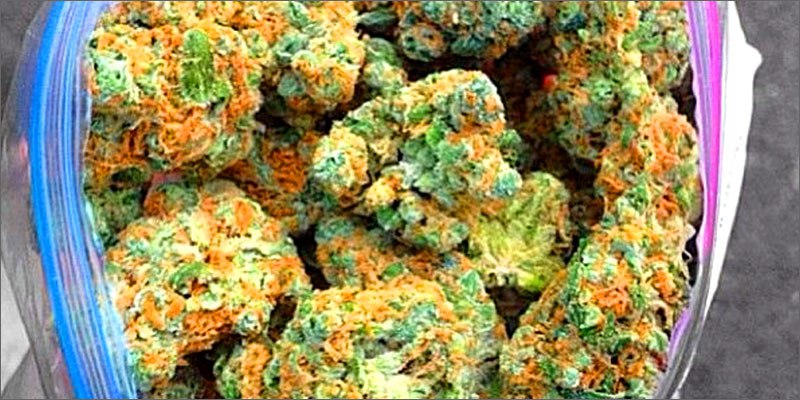 dobrej jakości zioło