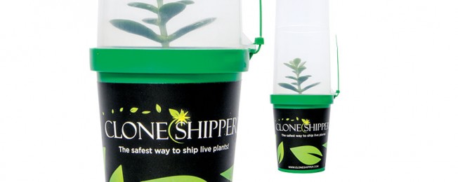Clone Shipper - przewożenie sadzonek