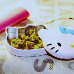 kinder party z alkoholem i marihuaną