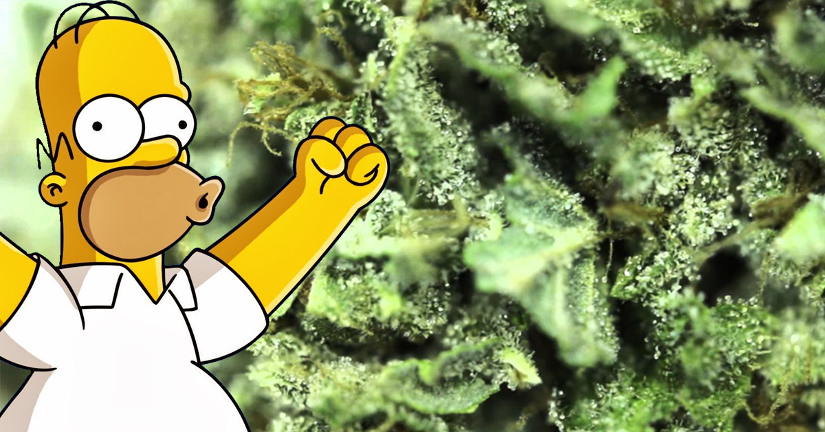 kreskówki popierające legalizację