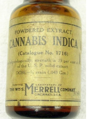 stara butelka oleju z konopi