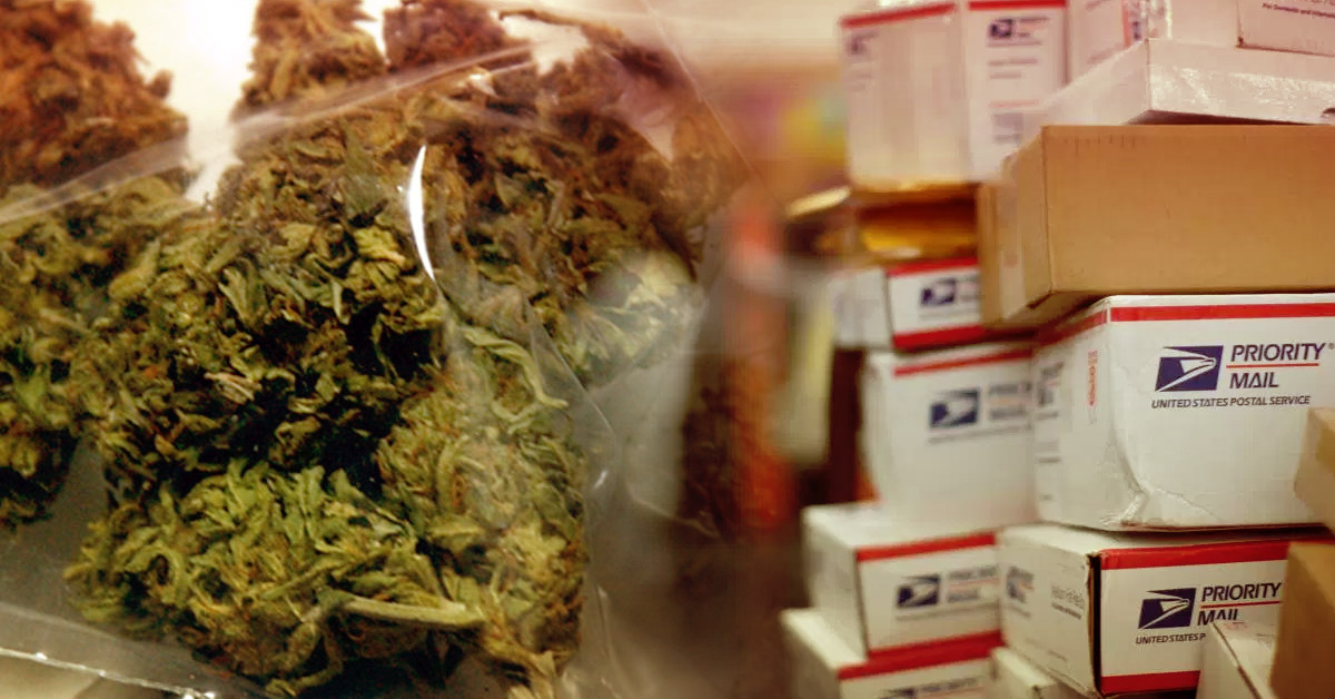 22-latek przesyłał zioło pocztą