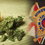 szeryf z Alabamy kradnie marihuanę dla chorej na raka ciotki