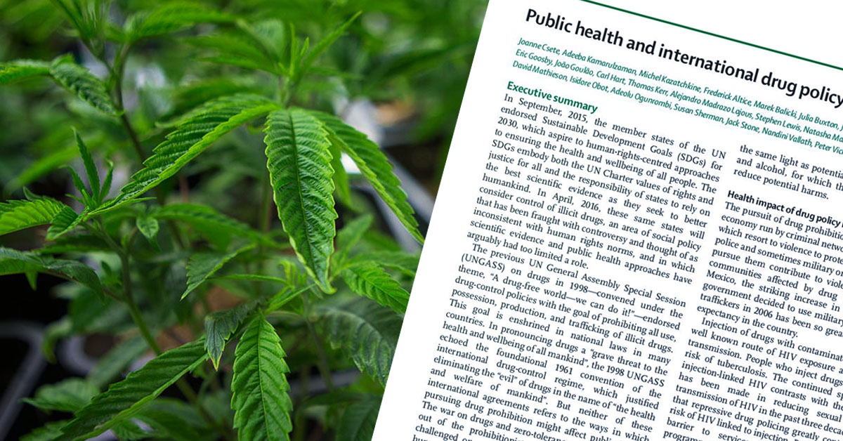 eksperci o legalizacji narkotyków