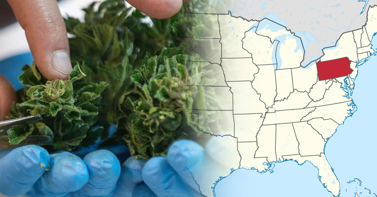 legalizacja marihuany medycznej w Transylwanii