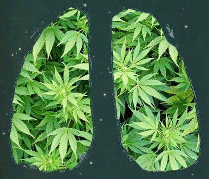 co sie dzieje w plucach podczas palenia