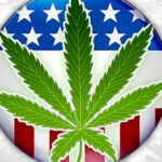 wybory prezydenckie w USA marihuana