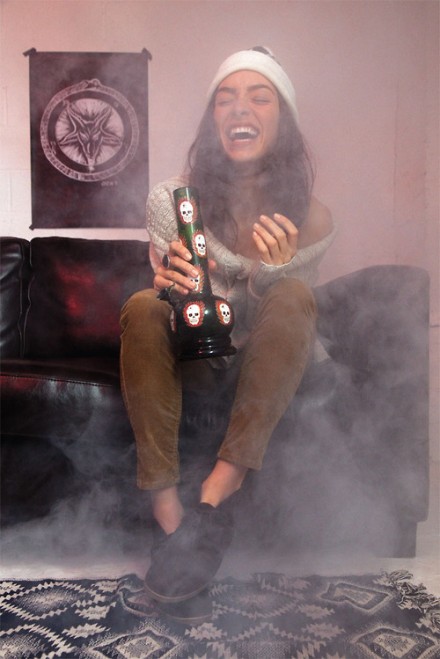 pies wyczuwa zmianę zachowania po trawie