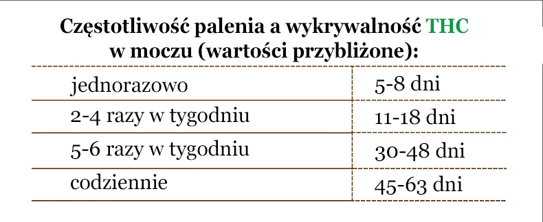 obecnosc-THC-w-moczu