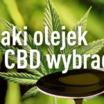 jaki olejek cbd