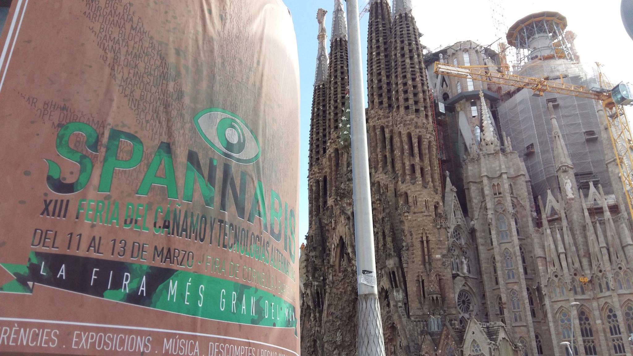 12819467_10207682393192068_6456864590329596595_o