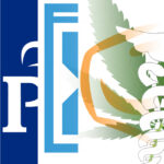 merihuana medyczna w programach partii wyborczych